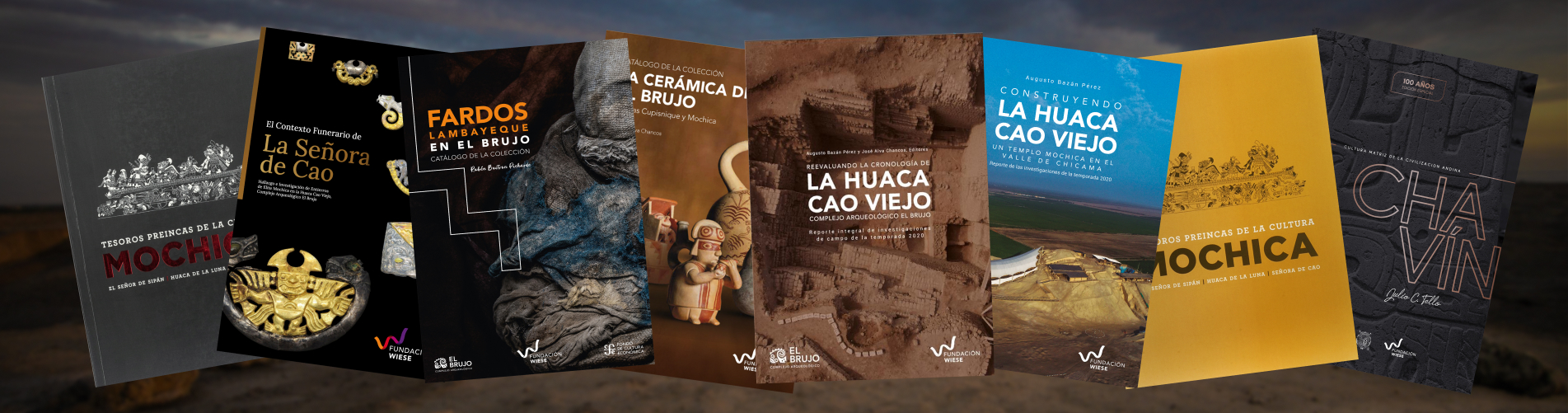 Discover all the books published by the Wiese Foundation!