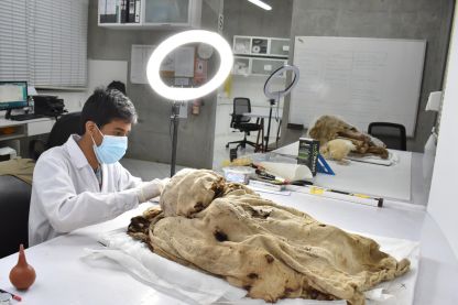 La investigación arqueológica en el complejo arqueológico El Brujo