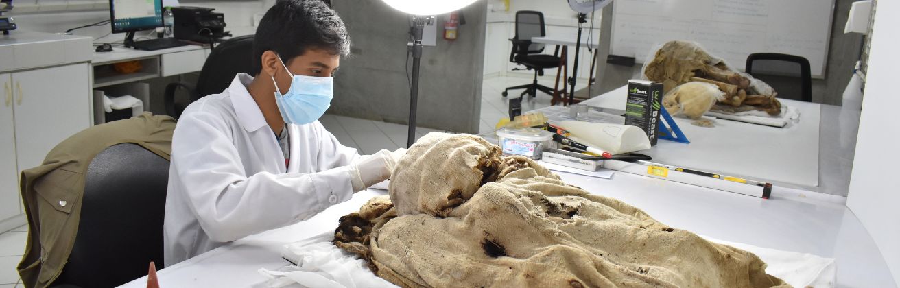 La investigación arqueológica en el complejo arqueológico El Brujo